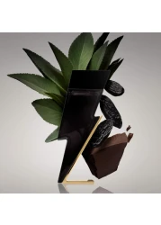 Carolina Herrera Bad Boy For Men - Eau de Toilette