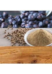 Calvin Klein CK Be For Men - Eau de Toilette