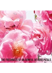 عطر مس ديور روز ان روز من ديور - او دي تواليت