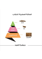 الماجد للعود عطر جوهرة العود - أو دو بارفيوم