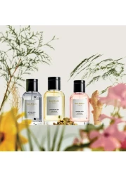 بالمان عطر الشعر بالزنجبيل 1974 100 مل