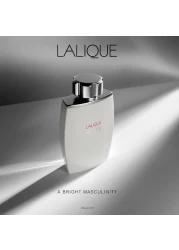 Lalique white For Men - Eau de Toilette