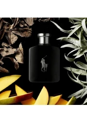 رالف لورين عطر بولو بلاك للرجال - او دو تواليت