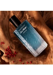DAVIDOFF Cool Water Male - Parfum
