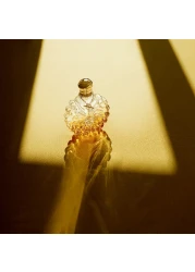 عطر سوليل فيبرنت لاليك من لاليك للنساء - او دي برفيوم