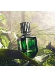 عطر باراديسو فاوند من روبرتو كفالي للرجال - اي دي تواليت