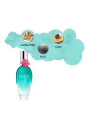 عطر اسكادا بورن ان برادايس من اسكادا للنساء - او دي تواليت 50 مل