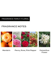 عطر لوف من ريفلوشن للنساء - او دي تواليت