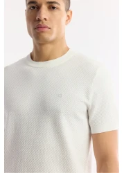 Avva Men's Ecru Crew Neck Textured Knitwear T-Shirt B 005119