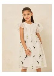 Styli Embroidery Mesh Dress