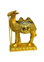 Ajooba Retro Camel, Assorted Colour