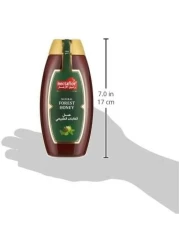 NECTAFLOR HONEY FOREST 500GM SQZ