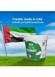 العين زبادي طازج كامل الدسم 1 كغ