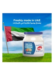 Al Ain Farms Cream Cheese Jar 500g Pack of 2
