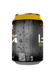 Star Ginger Ale Carbonated Soda 300ml