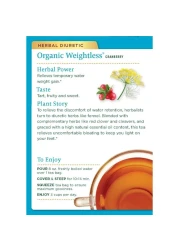 Traditional Medicinals Organic Weightless Cranberry Tea 24g