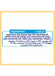 Nestle Cerelac Fruits Puree Pouch, Fruits, from 6 Months, 90g