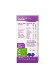 كيديليشوس ميني ويفر التوت 4 غرام