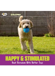 Gnawsome 45 Spiky Squeak Light Ball Dog Toy Extra Large Cleans teeth and Promotes Dental and Gum Health for Your Pet Colors will vary All Breed Sizes