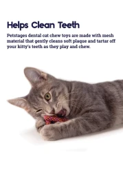 Catstages Catnip Plaque Away Pretzel Dental Cat Chew Toy Catnip Toy Orange