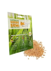 Erba Piu Cat Grass seeds