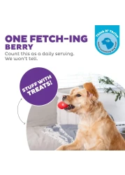 Outward Hound Foodies Carrot Strawberry TreatDispensing Dog Chew Toy Pink