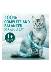 بورينا ون فيزيبل طعام القطط للتحكم في كرات الشعر بالدجاج للقطط بعمر سنة فما فوق 1.2 كغ