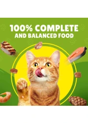 بورينا فريسكيز طعام قطط رطب قطع دجاج في مرق 85 غرام