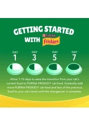 Purina Friskies Indoor Delights Flavours of Salmon, Tuna, Chicken, Beef and Vegetables Adult Dry Cat Food, 1kg