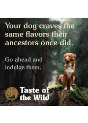 Taste of the Wild Pacific Stream Canine Recipe with Smoked Salmon 390grm (DOG)