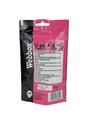 Webbox Yum-E-Yums Salmon Cat Treats 40g