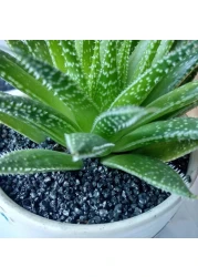 Vsell24 Super Naturals Black Sand Aquarium Substrate For Fish Tank Black Plant Soil For Pot Decorations 2-4mm 2Kg