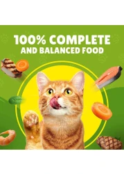 Purina Friskies Pate with Chicken and Vegetables in Chunkpound Wet Cat Food Can, 400g