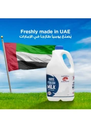 العين حليب طازج كامل الدسم 2 لتر