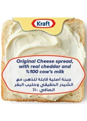 Kraft Cheddar Cheese Spread, 480g Pack of 2