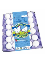 Al Rawdah Fresh White Large Eggs 30 PCS