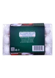 صحة بيض أبيض بفيتامين هـ متوسط الحجم 15 قطعة