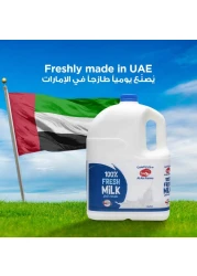 العين حليب طازج كامل الدسم 3.78 لتر