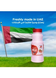 العين حليب بالفراولة 250 ملل