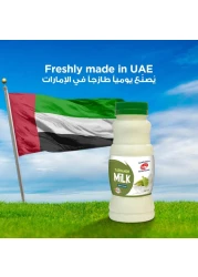 Al Ain Cardamom Milk 250ml