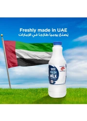 العين حليب طازج كامل الدسم 1 لتر