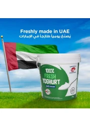 العين زبادي طازج كامل الدسم 2 كغ