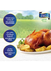 الخزنة دجاج طازج 800 غرام