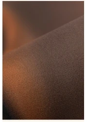 Diatom Mud Anti Slip 3D Bathroom Mat Stylish &amp; Super Absorbent With Soft Material (45X70)