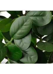 Artificial Potted Plant With Pot In/Outdoor Bonsai 16 Cm