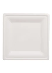 فان غرين تراك أطباق مصنوعة من لب السكر مربعة - أبيض 10 × 10 بوصة 10 قطع
