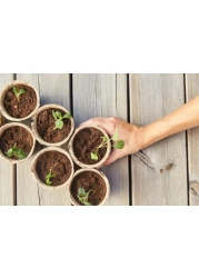 ell24 Bio Tech Potting Soil-6 kg (20L) Superior Growing Medium with Bioactive Components for Robust Plant Growth