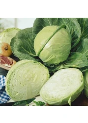 Vsell24 Garden Pea Seeds, 3 Packs of 10g Each, Easy Growing NON-GMO Home Garden Seeds With 98% Cleaness, 95% Purity, 85% Germination Rate