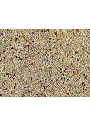 Egardenkart® Bird Food Small Budgie finches canaries hookbills doves quail and sparrows Seed mix (30kgs, Budgie)