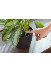 MiracleGro Indoor Plant Food Spikes Includes 48 Spikes Continuous Feeding for all Flowering and Foliage Houseplants NPK 6126 Pack of 1